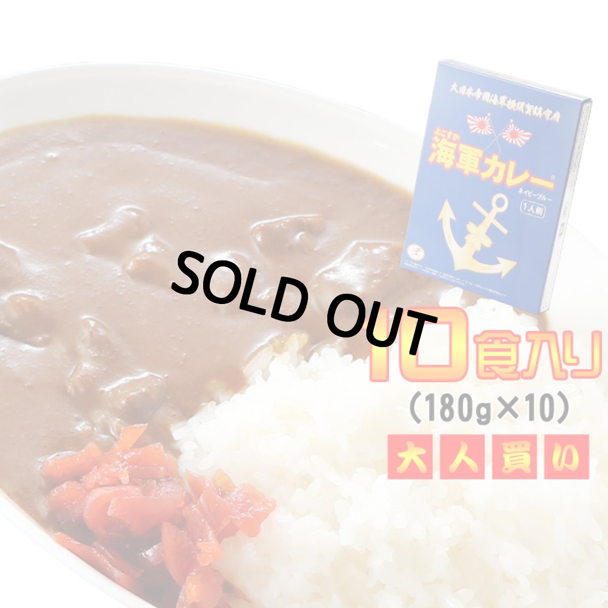 画像1: 退職祝い 還暦祝い よこすか海軍カレー 調味商事 ネイビーブルー レトルトカレー 中辛 180g×1食入 10個 鉄腕DASH 鉄腕 ダッシュ DASH 最短 【送料有料】 (1)