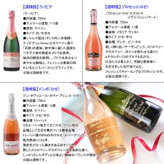 画像6: 名入れ スパークリングワイン 《 6種から選べる 名入れ スパークリングワイン 750ml 》 名入れワイン 誕生日 名入れ彫刻のお酒 ギフト 贈答 プレゼント (6)