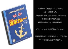 画像9: 《 名入れ カレースプーン ＆ 海軍カレー セット 【 1本 × 2食 】 》 退職祝い 還暦祝い 名入れ プレゼント カレー専用スプーン カレー好き お誕生日 名前入りギフト よこすか海軍カレー 名入れ  最強配送 最短 (9)