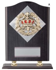 表彰盾 名入れ Gold Star D008 A（330×255mm）