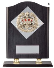 表彰盾 名入れ Gold Star D008 B（300×235mm）