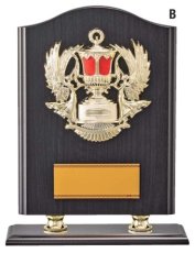 表彰盾 名入れ Gold Star D009 B（300×235mm）