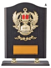 表彰盾 名入れ Gold Star D009 C（270×210mm）