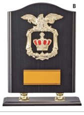 表彰盾 名入れ Gold Star D010 B（300×235mm）