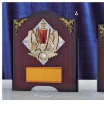表彰盾 名入れ Gold Star D011 A（320×280mm）