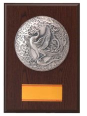表彰盾 名入れ Gold Star D014 C（300×210mm）