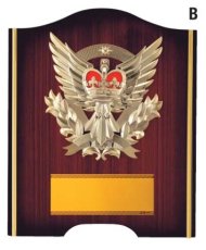 表彰盾 名入れ Gold Star D015 B（290×240mm）