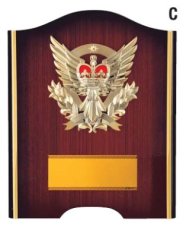 表彰盾 名入れ Gold Star D015 C（260×210mm）