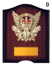表彰盾 名入れ Gold Star D015 D（230×180mm）