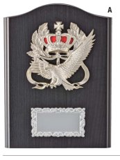 表彰盾 名入れ Gold Star D016 D（210×160mm）