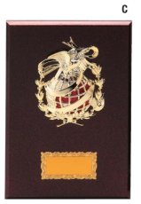 表彰盾 名入れ Gold Star D018 C（300×210mm）