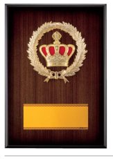 表彰盾 名入れ Gold Star D019 B（340×240mm）