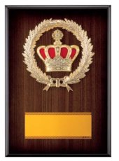 表彰盾 名入れ Gold Star D019 C（300×210mm）