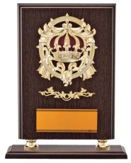 表彰盾 名入れ Gold Star D020 A（325×260mm）
