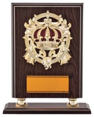 表彰盾 名入れ Gold Star D020 B（285×230mm）