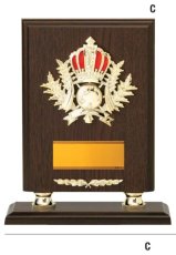 表彰盾 名入れ Gold Star D022 C（255×210mm）