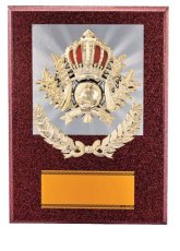 表彰盾 名入れ Gold Star D023 D（260×190mm）