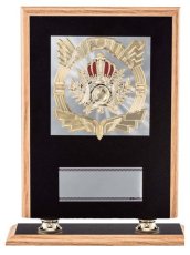 表彰盾 名入れ Gold Star D024 A（310×245mm）
