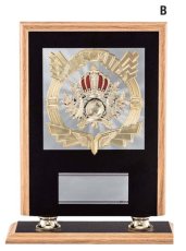 表彰盾 名入れ Gold Star D024 B（280×225mm）