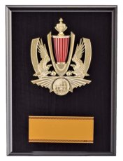 表彰盾 名入れ Gold Star D025 D（260×190mm）