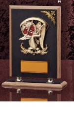 表彰盾 名入れ Gold Star D026 E（185×150mm）