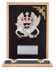 表彰盾 名入れ Gold Star D027 B（280×225mm）