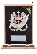 表彰盾 名入れ Gold Star D027 C（250×210mm）