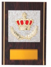 表彰盾 名入れ Gold Star D028 C（300×210mm）