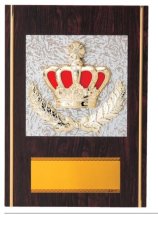 表彰盾 名入れ Gold Star D028 D（260×190mm）