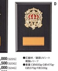 表彰盾 名入れ Gold Star D029 D（260×190mm）