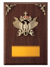 表彰盾 名入れ Gold Star D032 B（340×240mm）