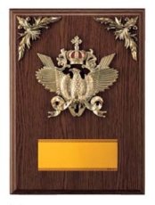 表彰盾 名入れ Gold Star D032 D（260×190mm）