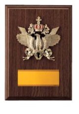 表彰盾 名入れ Gold Star D032 F（210×150mm）
