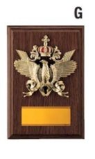 表彰盾 名入れ Gold Star D032 G（180×120mm）
