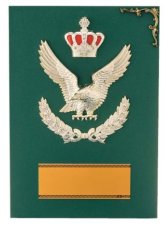 表彰盾 名入れ Gold Star D033 C（300×210mm）