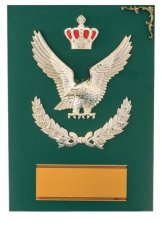 表彰盾 名入れ Gold Star D033 D（260×190mm）