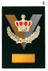 表彰盾 名入れ Gold Star D034 C（300×210mm）