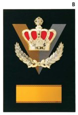 表彰盾 名入れ Gold Star D034 D（260×190mm）
