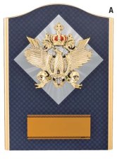 表彰盾 名入れ Gold Star D035 C（240×180mm）