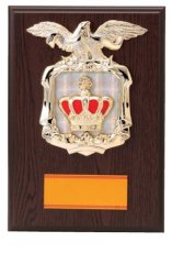 表彰盾 名入れ Gold Star D036 C（300×210mm）