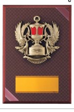 表彰盾 名入れ Gold Star D038 C（300×210mm）