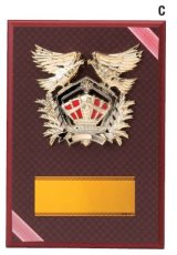 表彰盾 名入れ Gold Star D040 C（300×210mm）