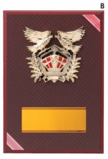 表彰盾 名入れ Gold Star D040 G（180×120mm）