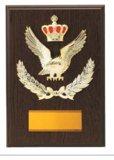 表彰盾 名入れ Gold Star D041 C（300×210mm）