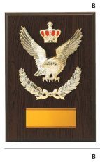 表彰盾 名入れ Gold Star D041 D（260×190mm）