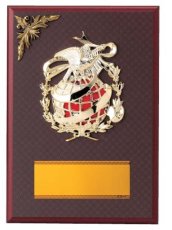 表彰盾 名入れ Gold Star D042 C（300×210mm）
