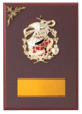 表彰盾 名入れ Gold Star D042 G（180×120mm）