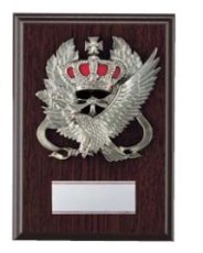 表彰盾 名入れ Gold Star D043 F（210×150mm）