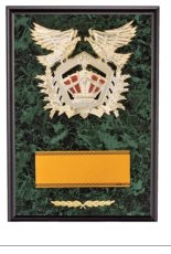 表彰盾 名入れ Gold Star D044 C（300×210mm）