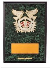 表彰盾 名入れ Gold Star D044 E（230×170mm）